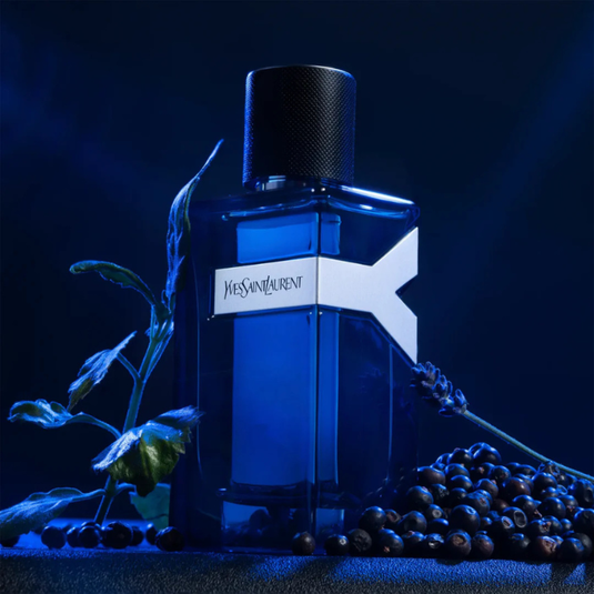 YSL Y Men Edp 100ml