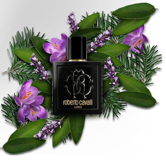 Roberto Cavalli Uomo Edt 100ml